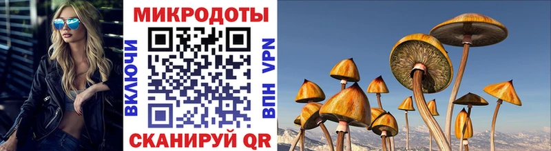 Купить закладки  Вязники  Псилоцибиновые грибы прущие грибы 